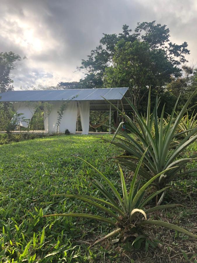 Soursop Hostel Cueta Екстериор снимка
